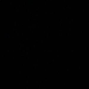 Meet your Posher, Aubrey